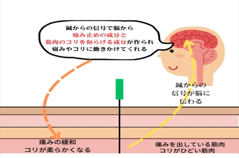 見出しを追加 (7)_R