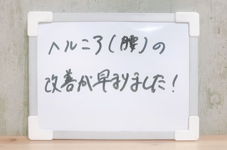 S__44728325